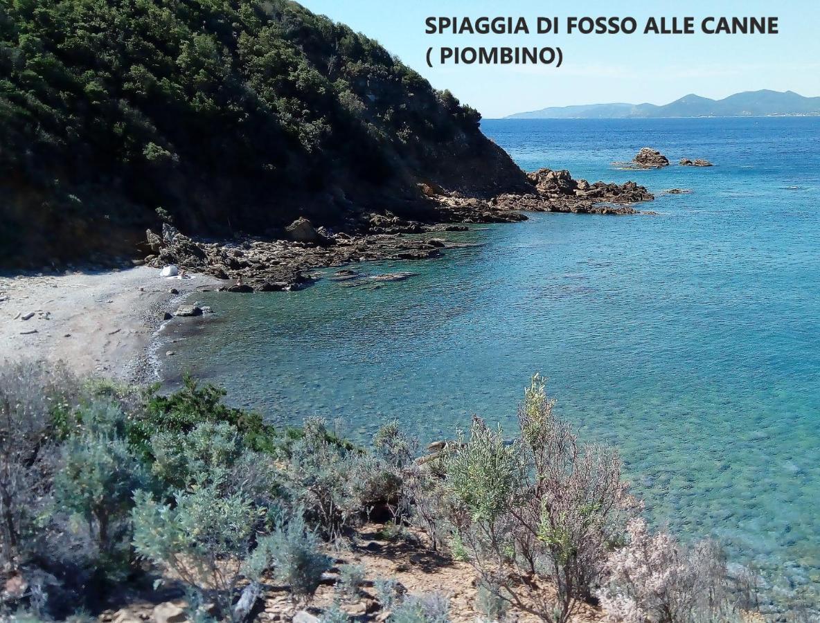 Spazio-Confort-Fitness Piombino Exteriör bild