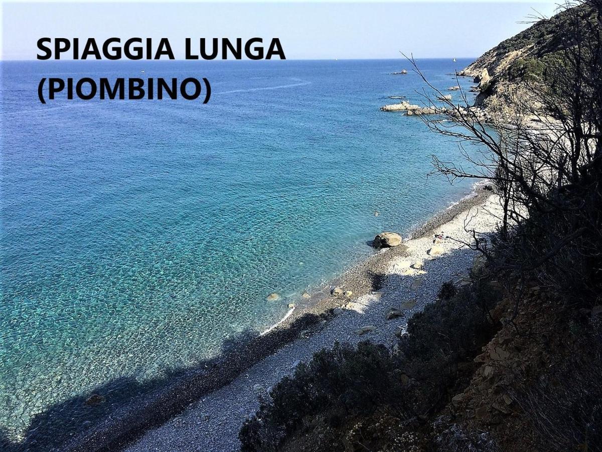 Spazio-Confort-Fitness Piombino Exteriör bild